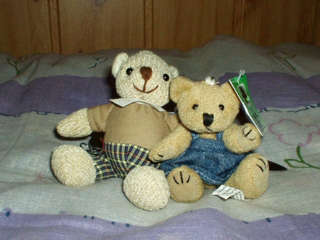 Bear & Bear